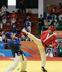 Korean Hapkido